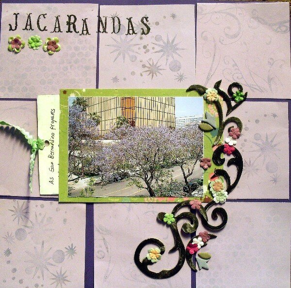 Jacarandas