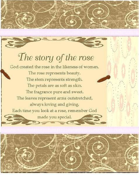 The Story of the Rose