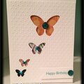 Embossed Butterfly Window Card using CTMH Art Philosophy Cricut Cartridge