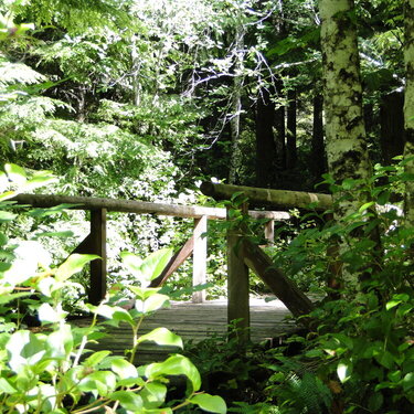 A Bridge In The Woods