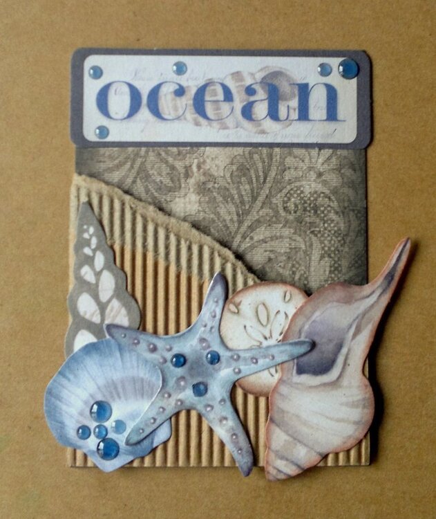 Star Fish ATC