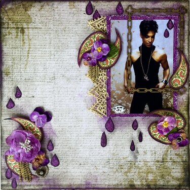 Oceans of violets in bloom.