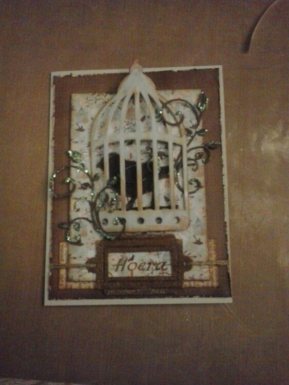 birdcage card for my brother