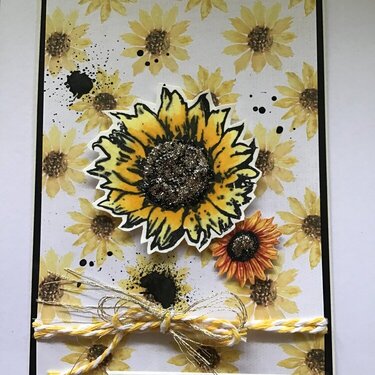 Sunshine Sunflower