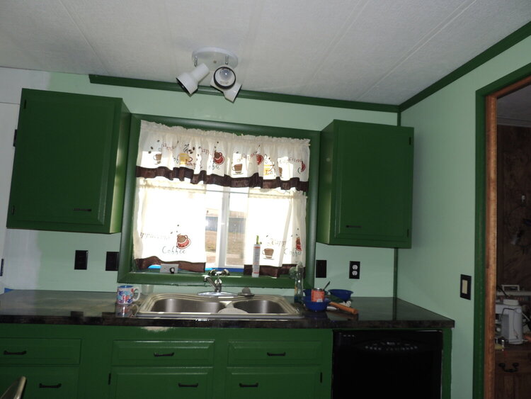 Kitchen remodel and paint