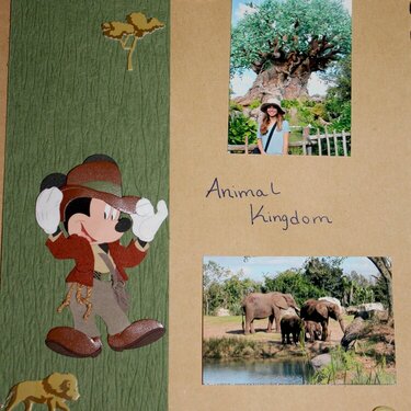 Animal Kingdom