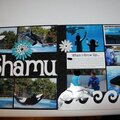 Dine with Shamu @ Sea World