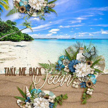 Take Me Back - Ocean