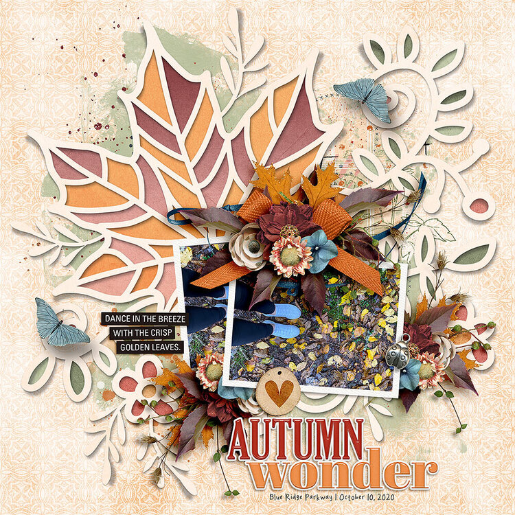 Autumn Wonder