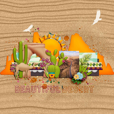 Beautiful Desert