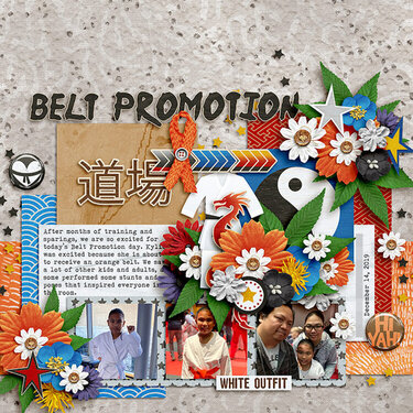 Belt promotion