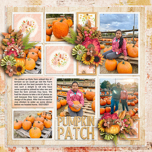 Pumpkin Patch