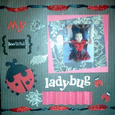 My Ladybug