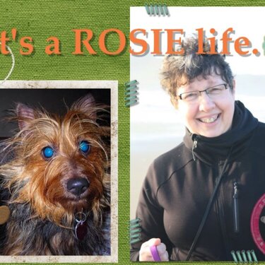 It&#039;s a Rosie life