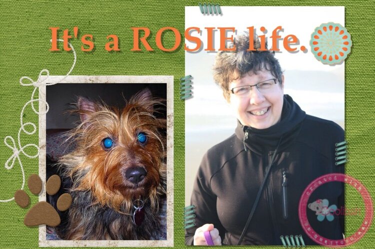 It&#039;s a Rosie life