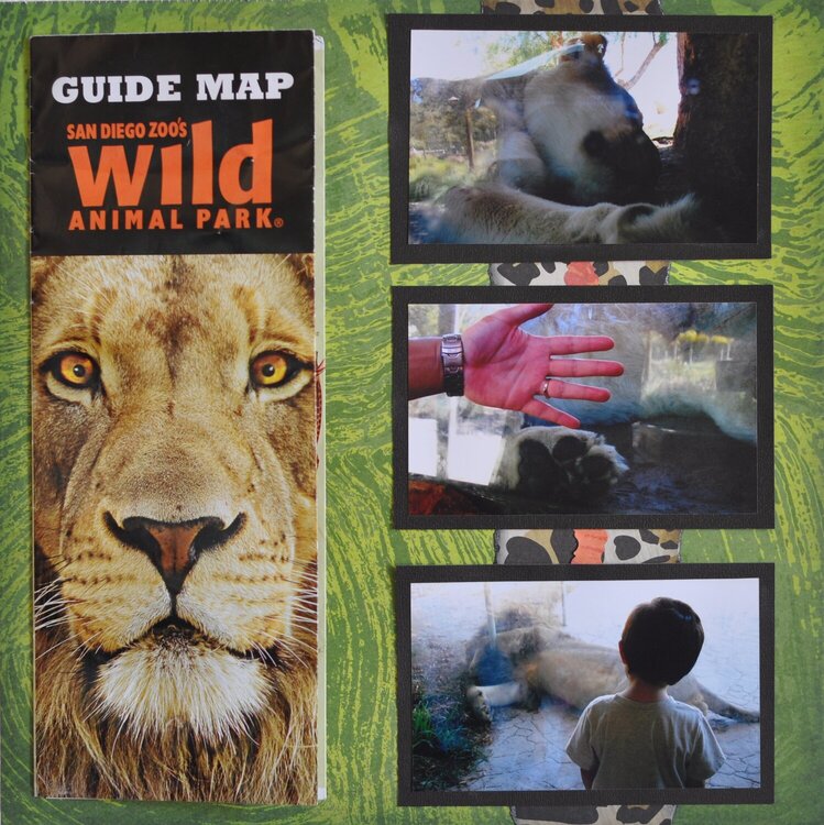 Wild Animal Park