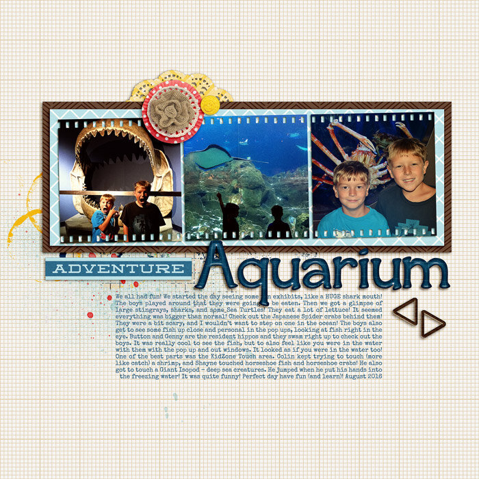 Adventure Aquarium L