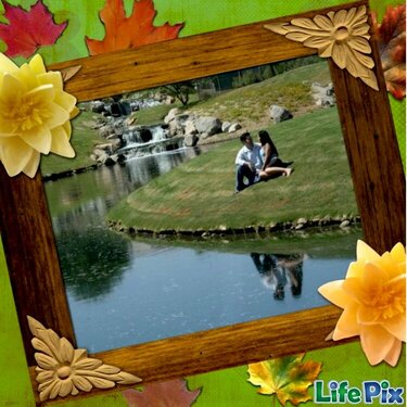 LifePix Park