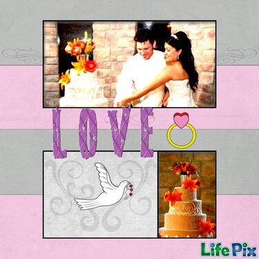 LifePix Wedding 2