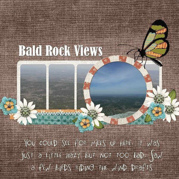 Bald Rock views