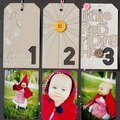 Little Red Riding Hood (Studio Calico Dec. Kit)