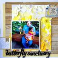 butterfly sanctuary