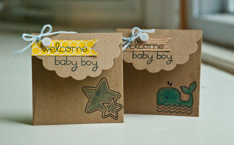 baby enclosure envelopes