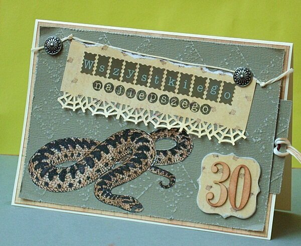 Birthday card with a viper