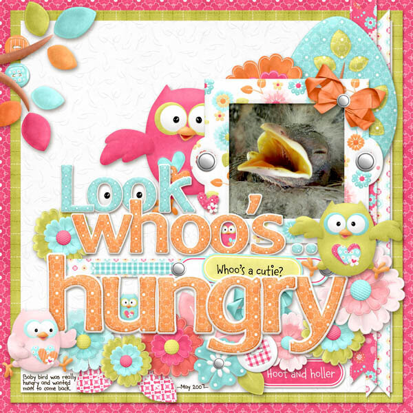 Look Whoo&#039;s Hungry