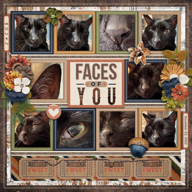 Faces of You