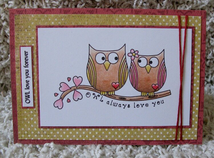 Owl always love you