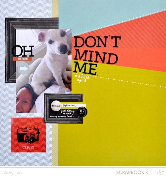 Don&#039;t Mind Me *Studio Calico Nov Kits*