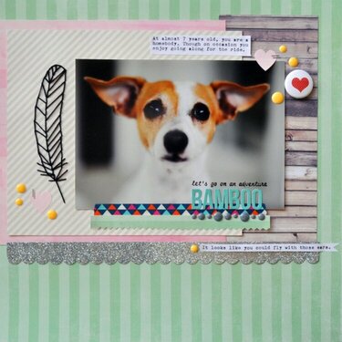 Bamboo *Studio Calico February Kits*