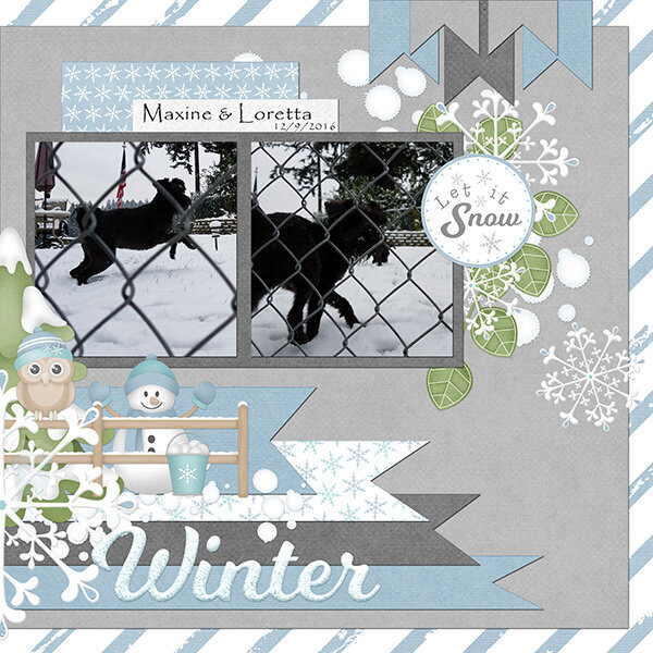 Kit by Kim Cameron Designs called: Stay Frosty:  I took the grey paper and made it lighter and darker for this page. http://dais