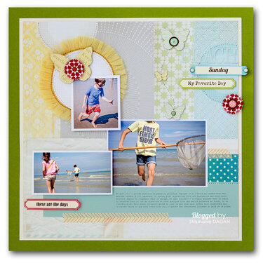 BEACH -- Studio Calico FIELD GUIDE kit --