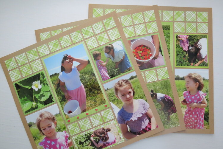 Berry Picking