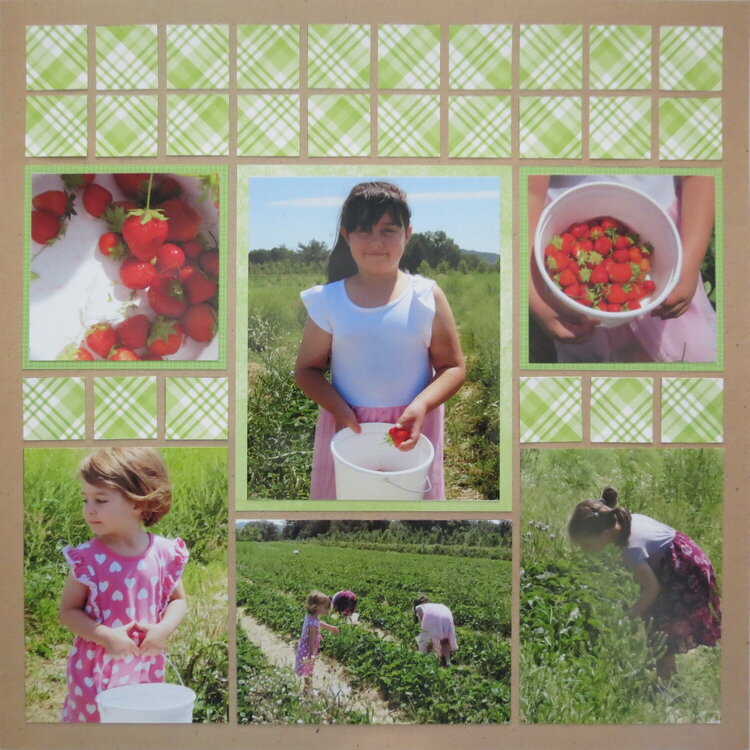 Berry Picking