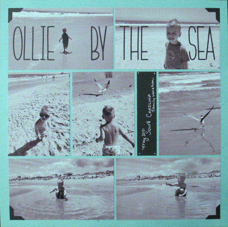 Ollie by the Sea