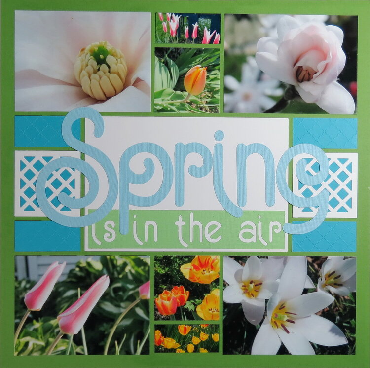 Spring is in the Air (base page)