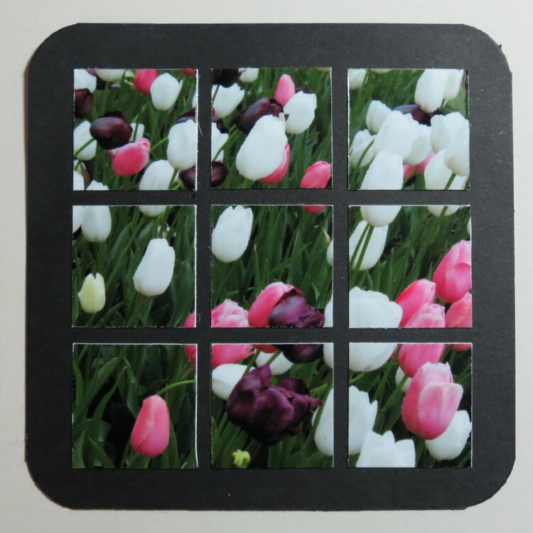 Magnetize your Photos! Great gift idea!!