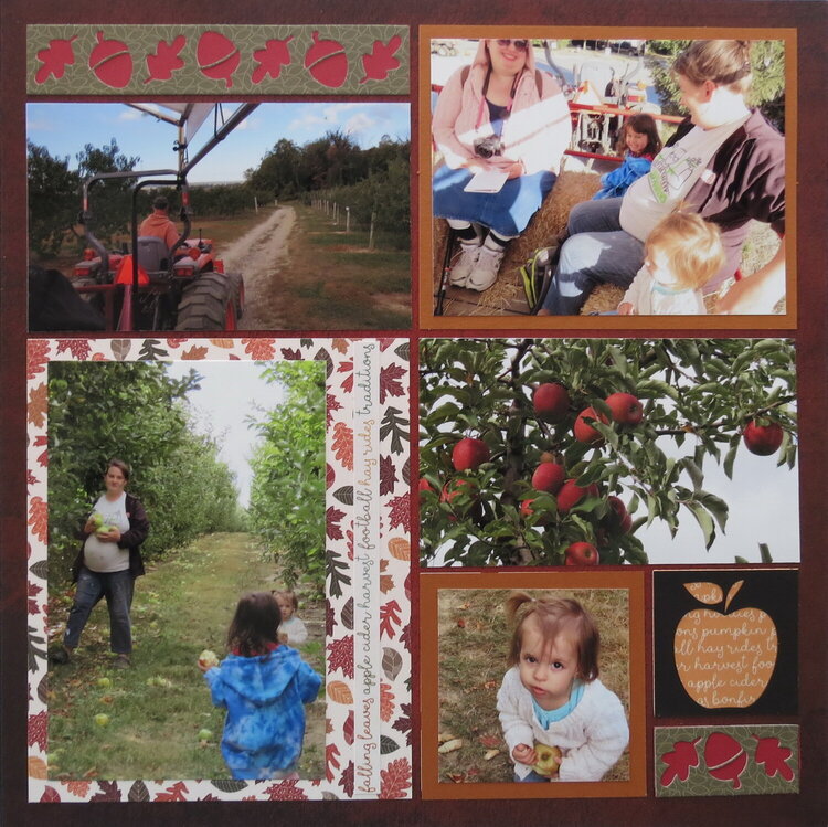 Picking Apples