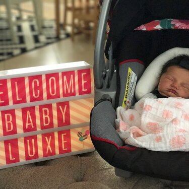 Welcome Baby Luxe