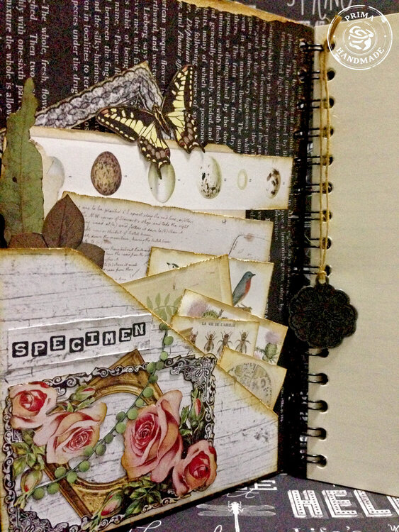 Nature&#039;s Bounty Mixed Media Altered Notebook
