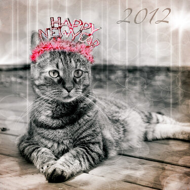 Escape Kitty -Happy New Year Darlins