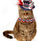 Yankee Doodle Patrotic Hat