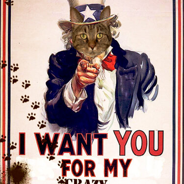 Escape Kitty Needs YOU!