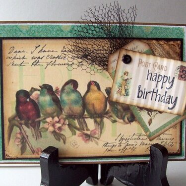 Vintage birds Birthday Card