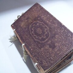 Front of the Hard Cover  photo Book / Album 7 Gypsies 2pc 'book covers' already embossed~
