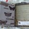 Mini Observation Book (birds & butterflies) pgs.11-12