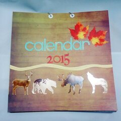 DIY Calendar 2015